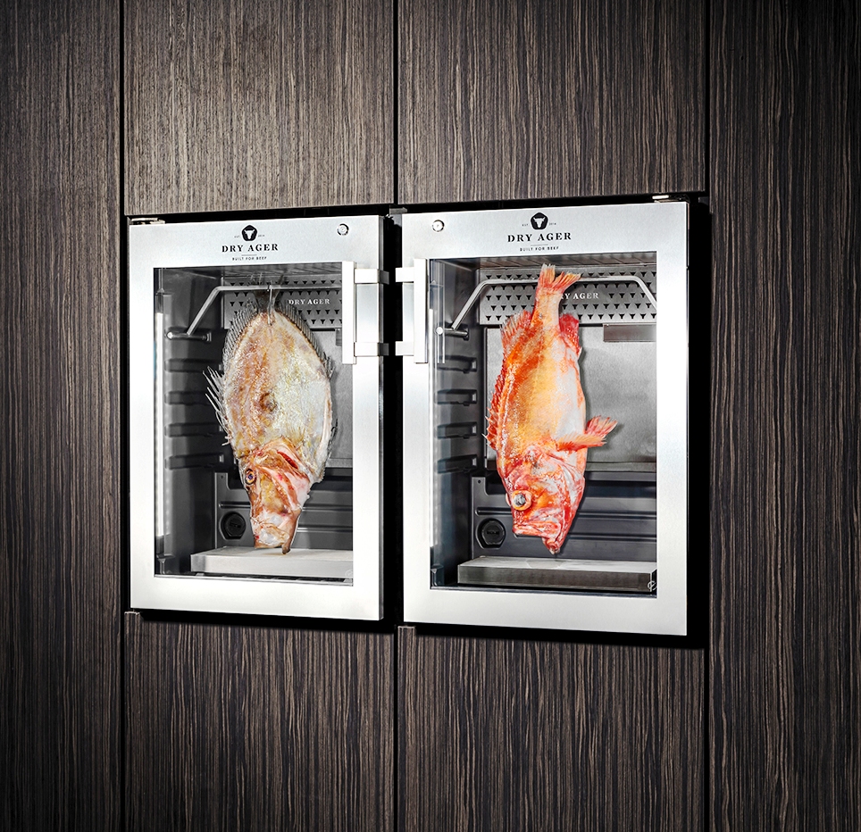 dx500 peixe